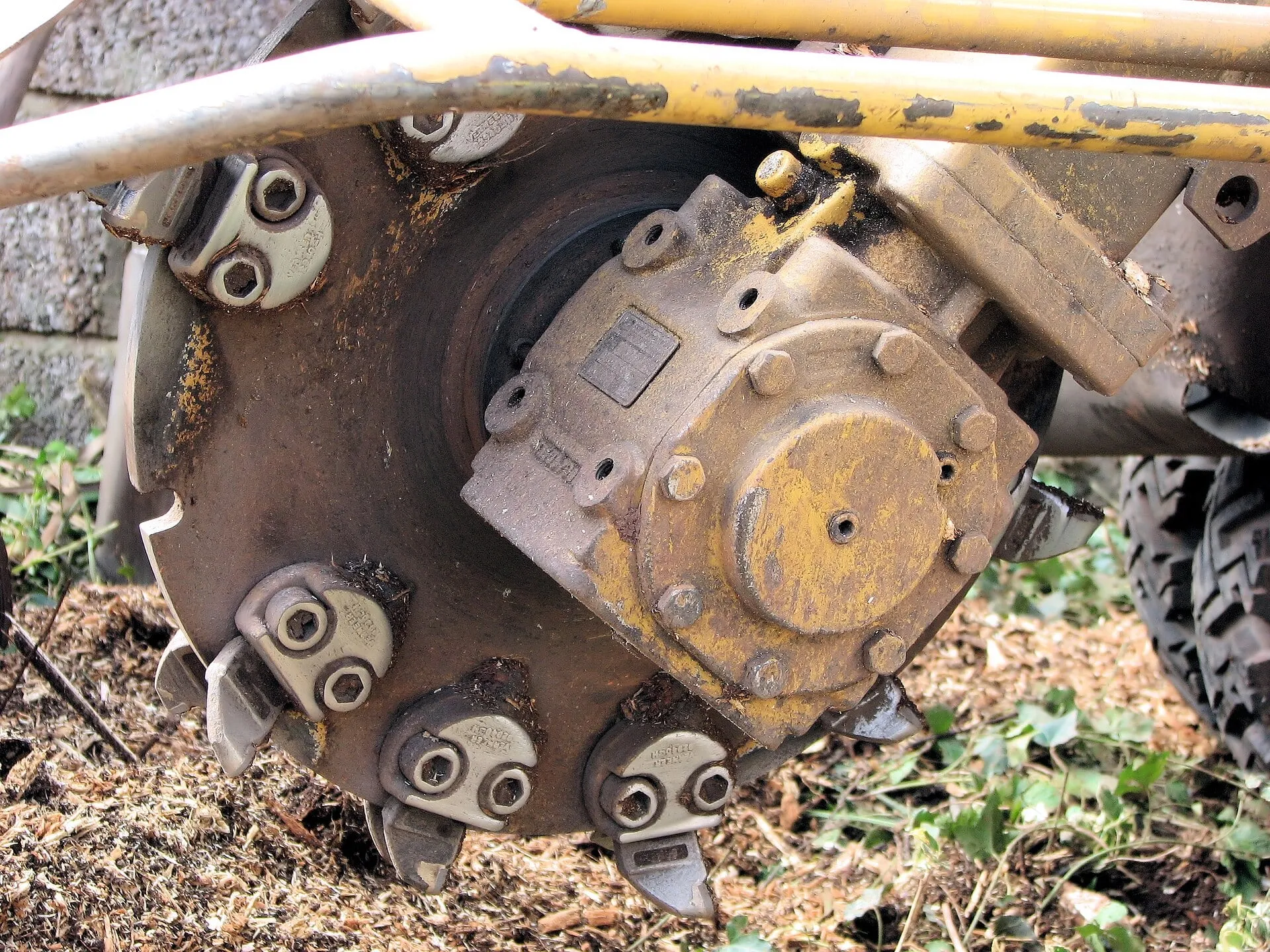 Close-up of a stump grinder's toothed cutting wheel in wood chips