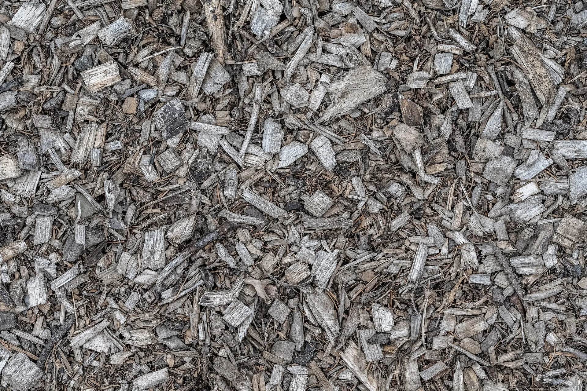 Wood chips